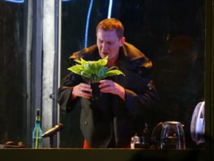 На концерт татарской и башкирской эстрады и в «Лес». Куда зовут ульяновцев на выходные