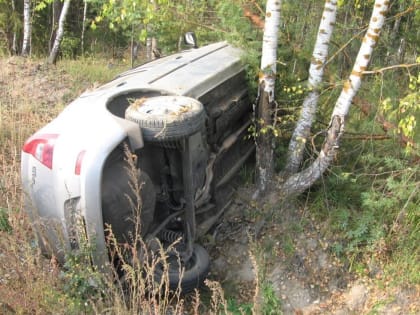 В Мелекесском районе «Рено-Логан» улетел в кювет. Водитель сбежал