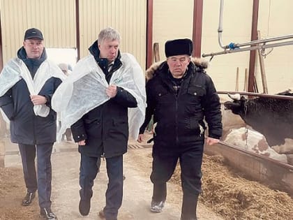 Вашурин: «У нас всё без добавок»