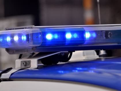 В Ульяновске двое мужчин обчистили несколько чужих машин. Полицейские нашли воров