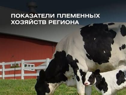 В Ульяновской области за девять месяцев произвели больше молока, чем в прошлом году