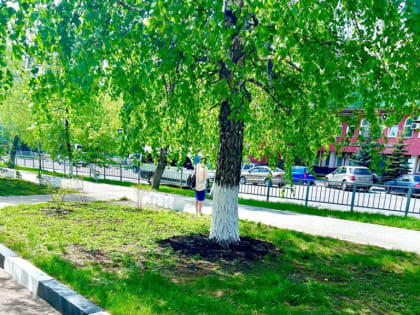 Продолжается благоустройство прилегающей территории городской поликлиники № 1 им. С.М. Кирова