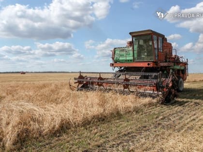 В лидеры по посевной-2024 вышли Чердаклинский, Карсунский и Новоспасский районы