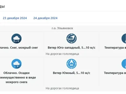 22 декабря ульяновцам обещают +2 и мокрый снег