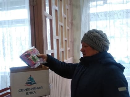 Депутаты Городской Думы продолжают активно участвовать в акции «Серебряная ёлка»