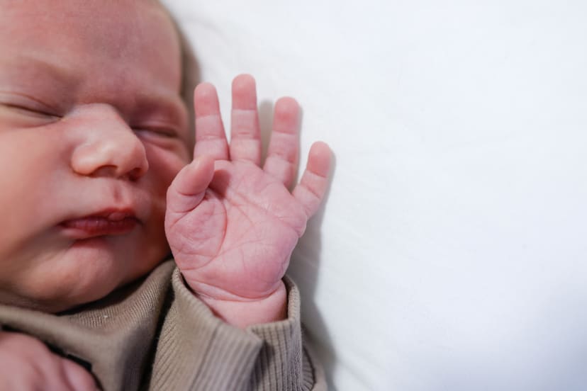 Close-up of a newborn's open hand, Metro Detroit newborn details