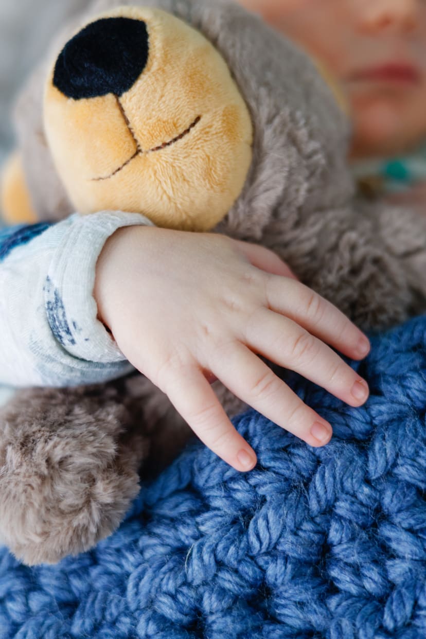 Toddler's hand resting on a teddy bear, Metro Detroit newborn details