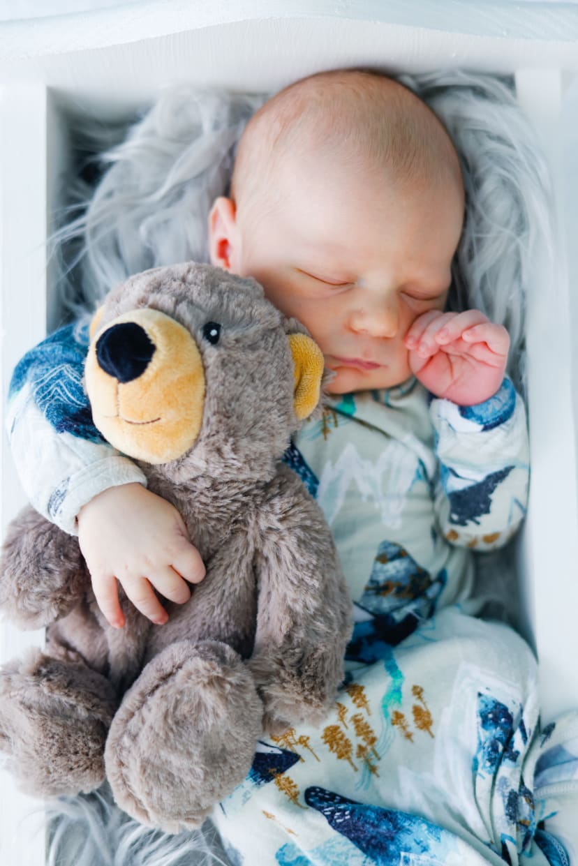 Newborn baby sleeping while cuddling a gray teddy bear, Metro Detroit newborn session