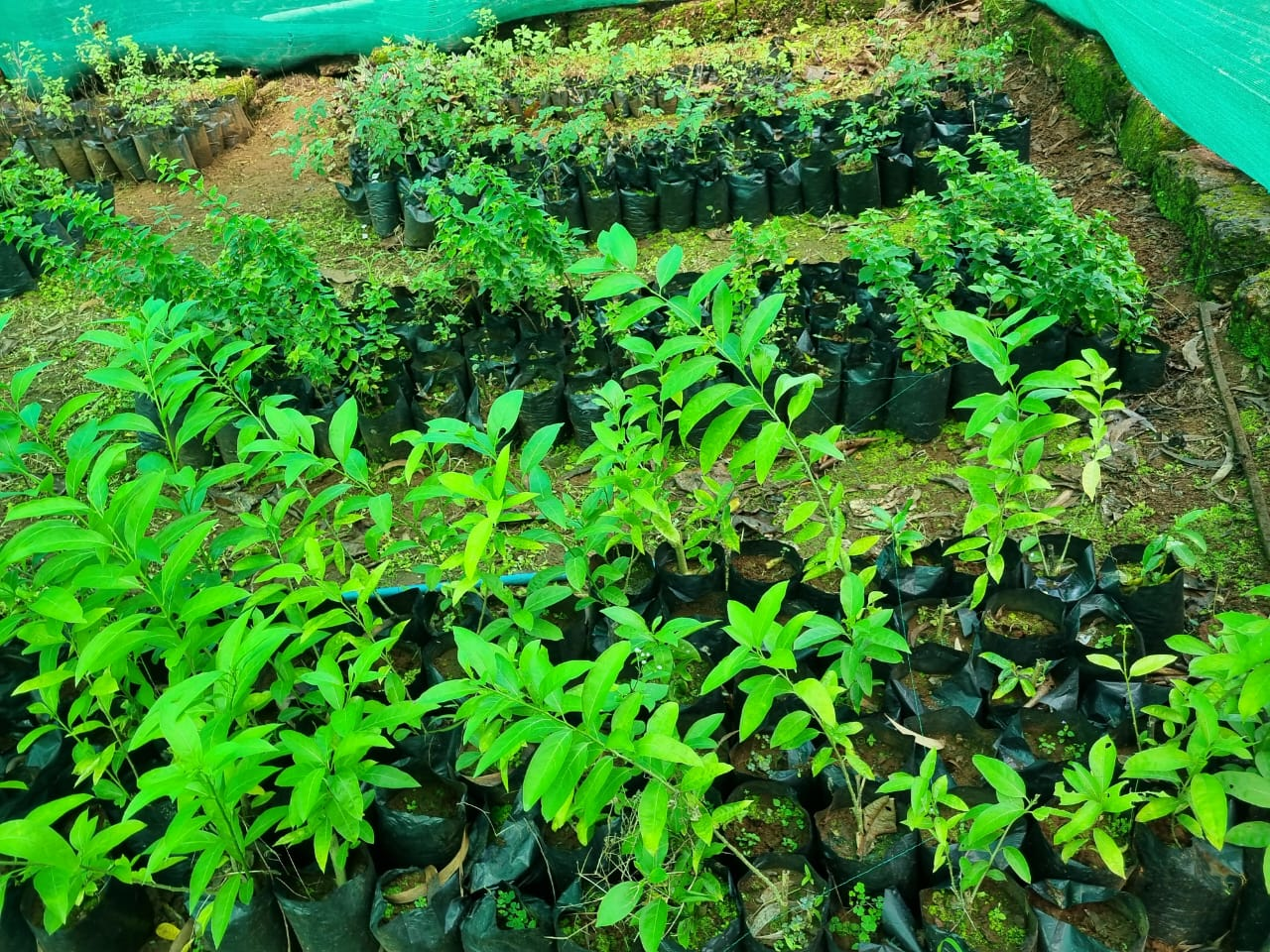 College Gallery Image 10