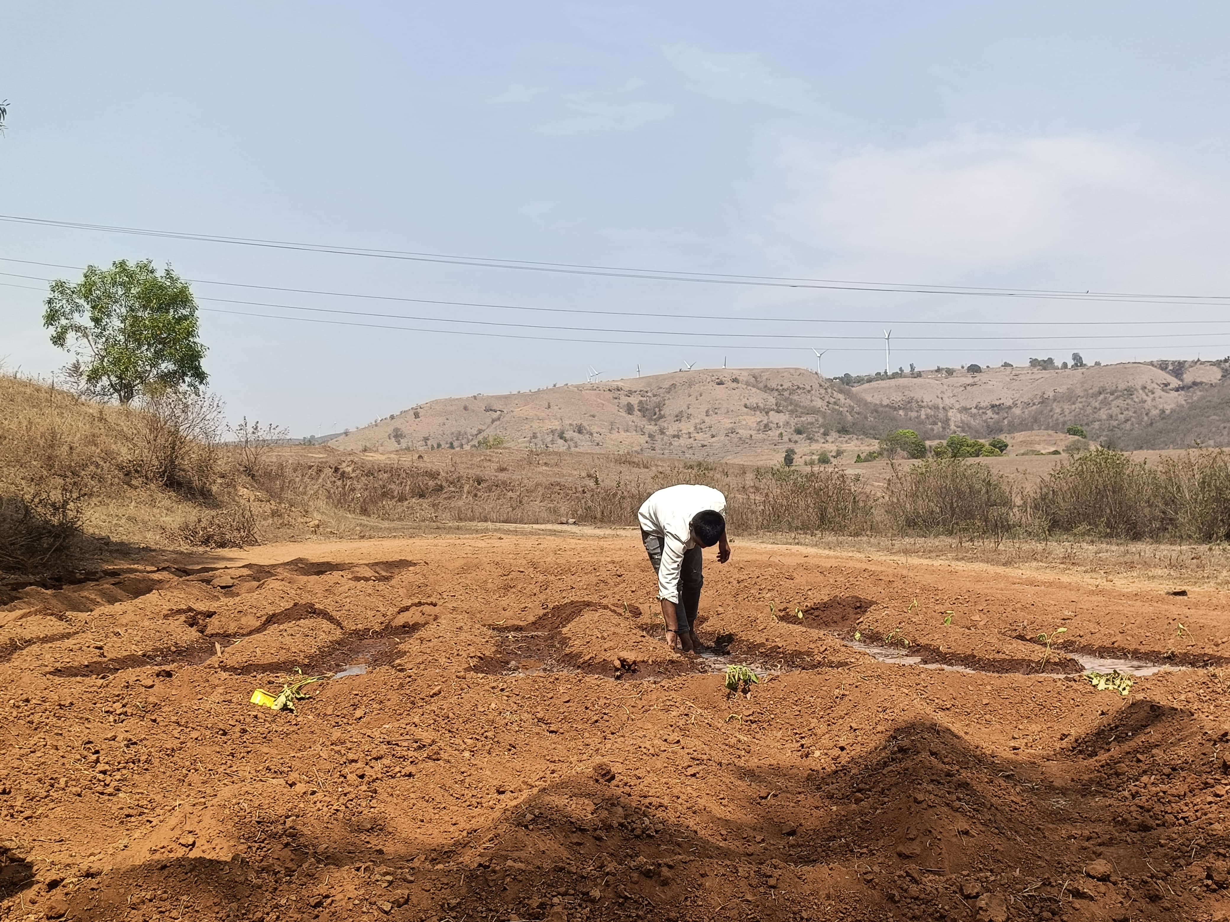 College Gallery Image 16