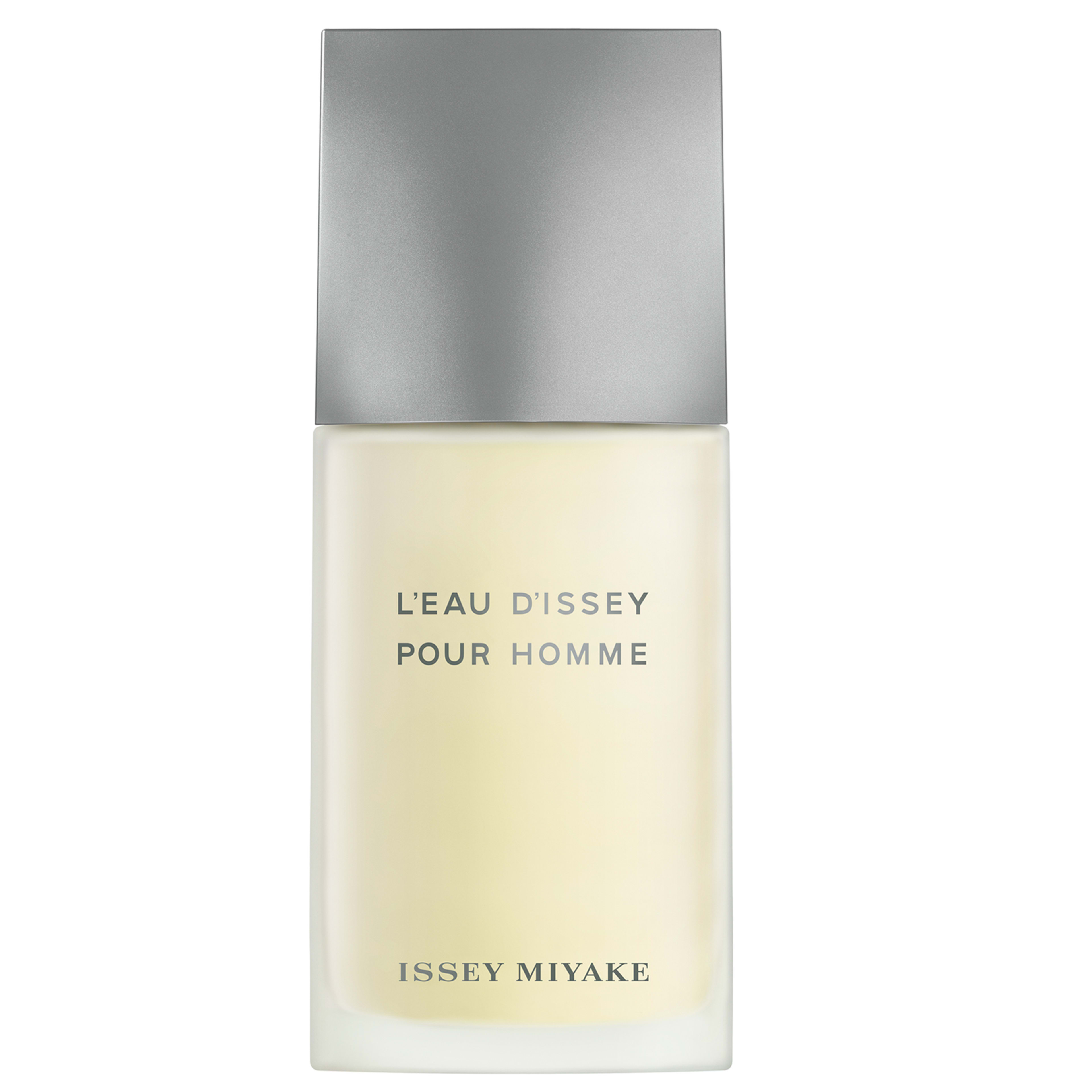 Issey Miyake - L'Eau d'Issey Homme EDT perfume flacon