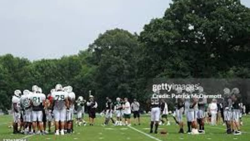 Professional Athlete