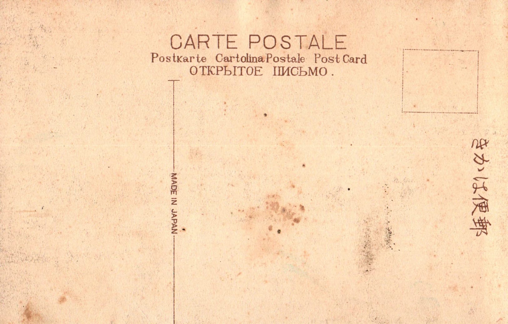 pc2026-01-14_173358 - Back