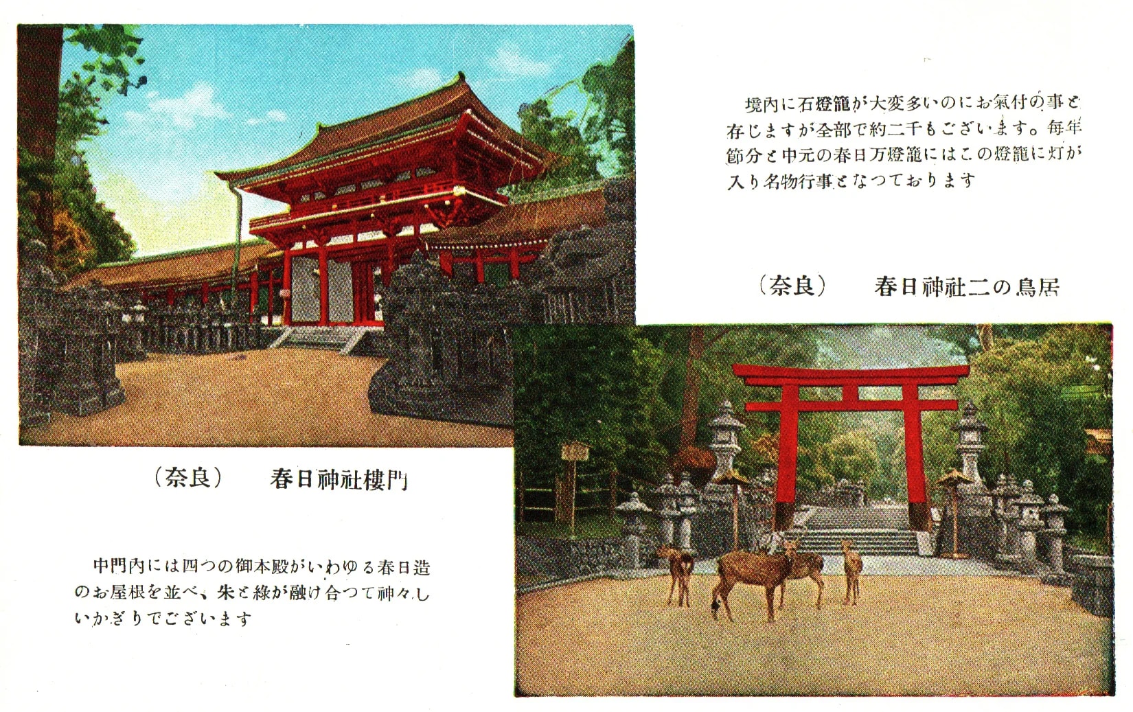 pc2026-01-14_173413 - Front