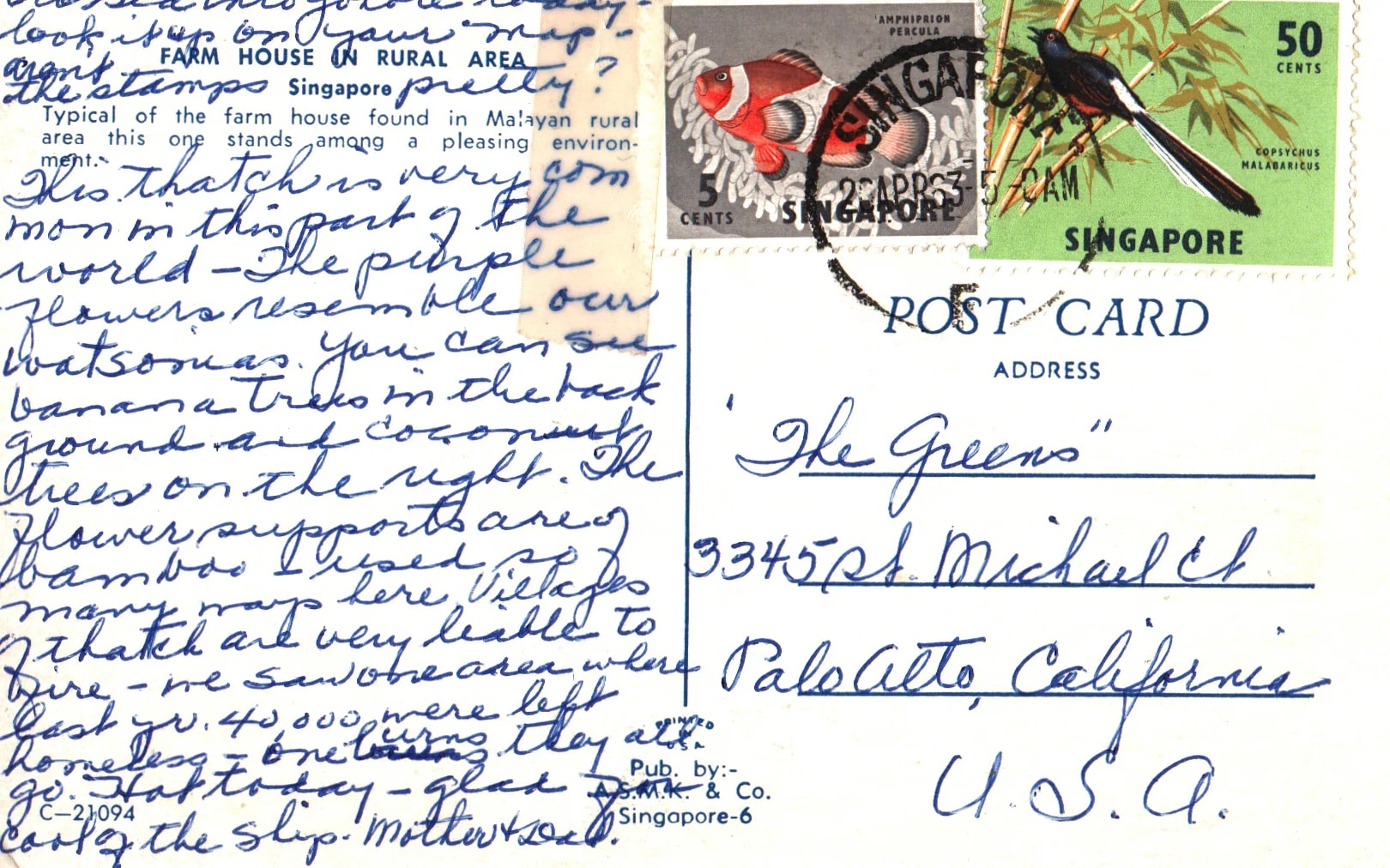 pc2026-01-14_173419 - Back