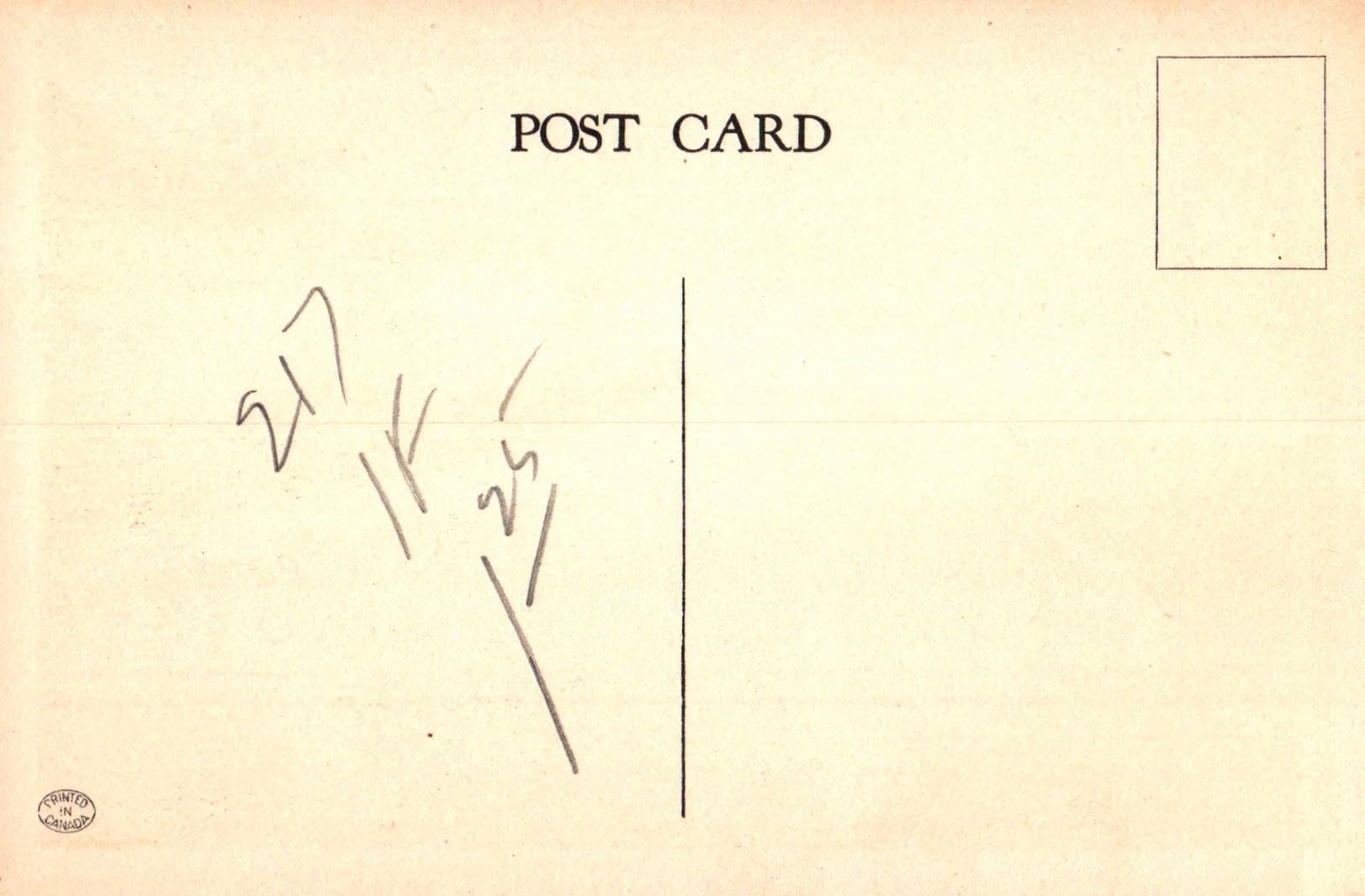 pc2026-01-14_193716 - Back