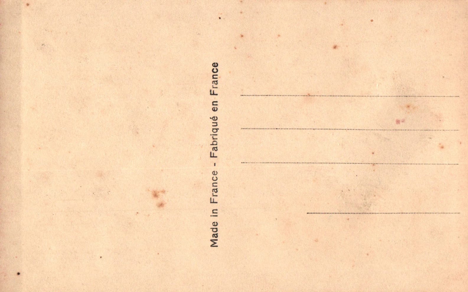 pc2026-02-16_121658 - Back