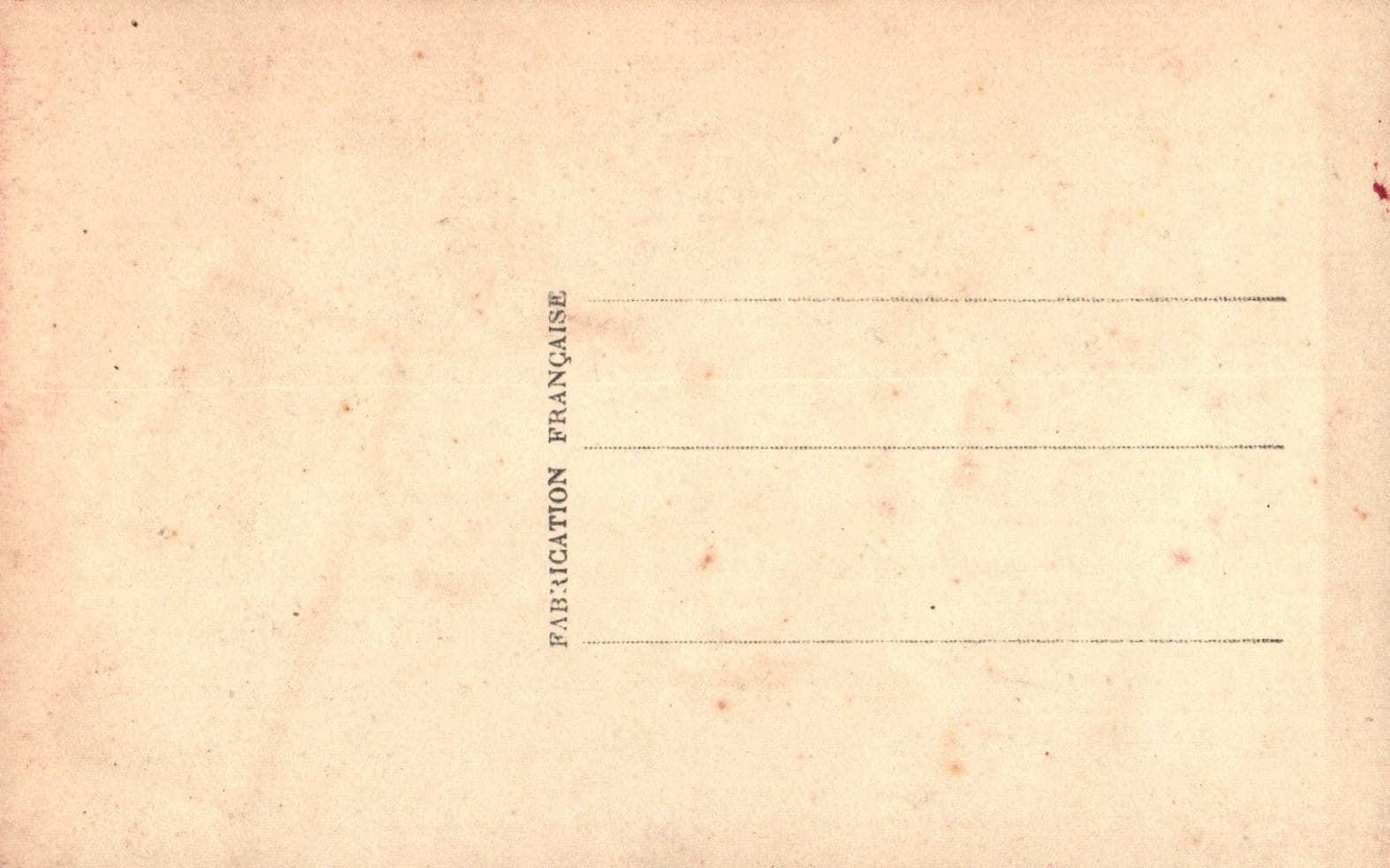 pc2026-02-16_121733 - Back