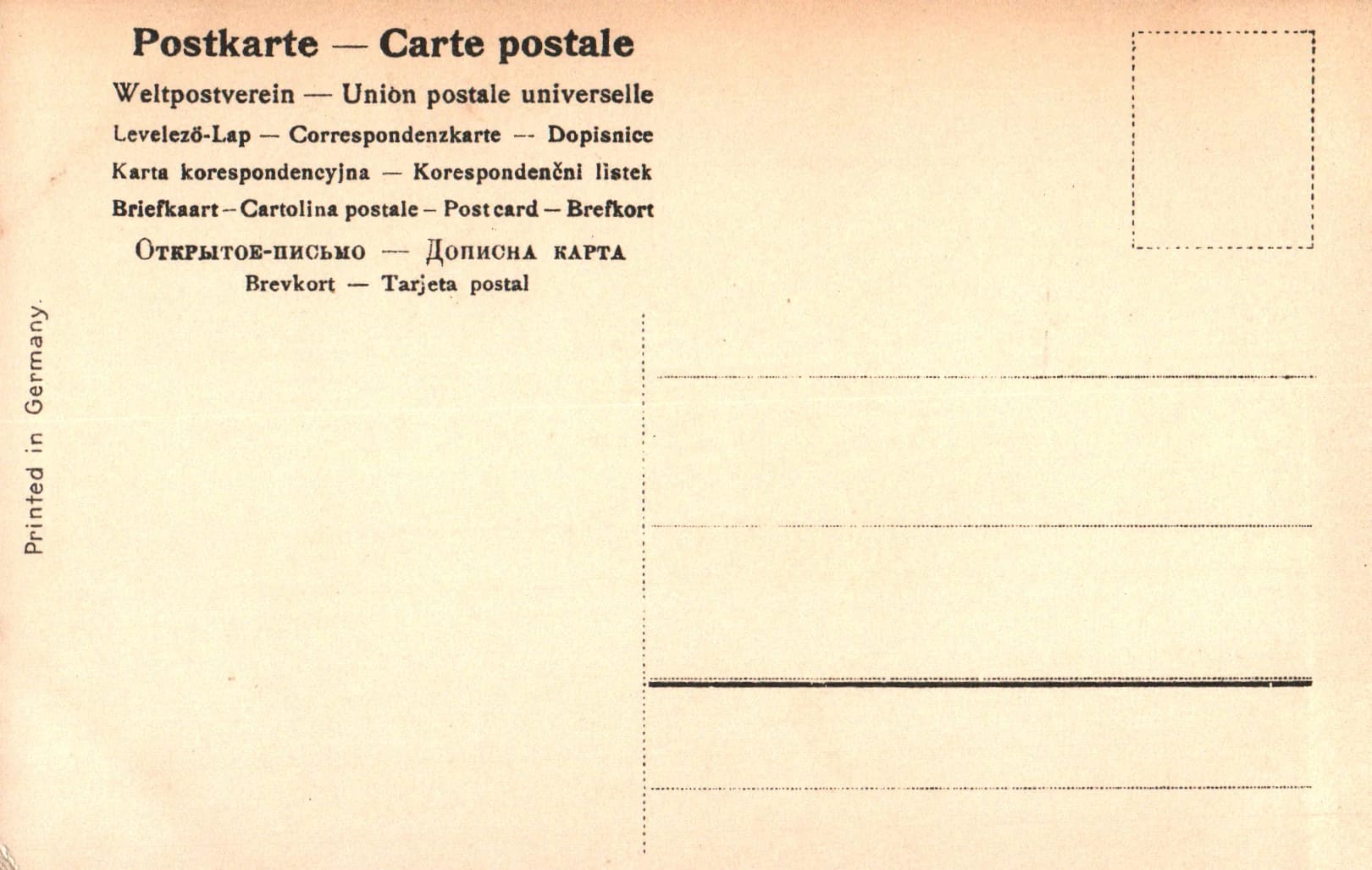 pc2026-02-16_121754 - Back