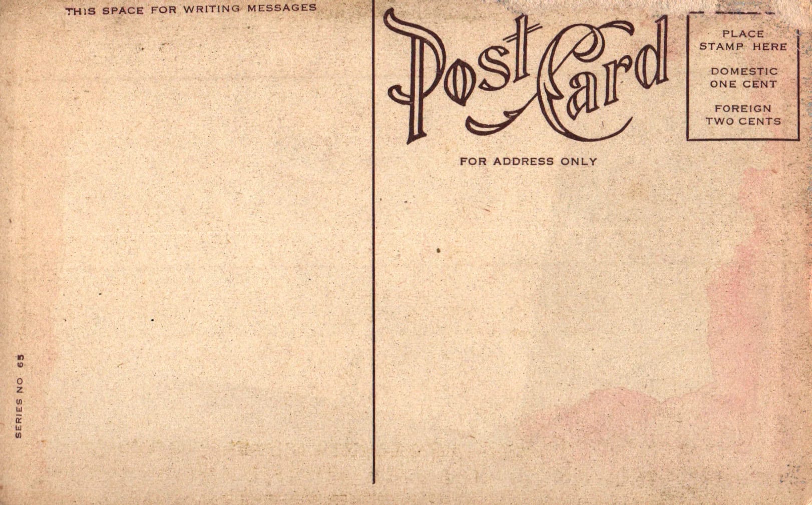 pc2026-02-16_122459 - Back