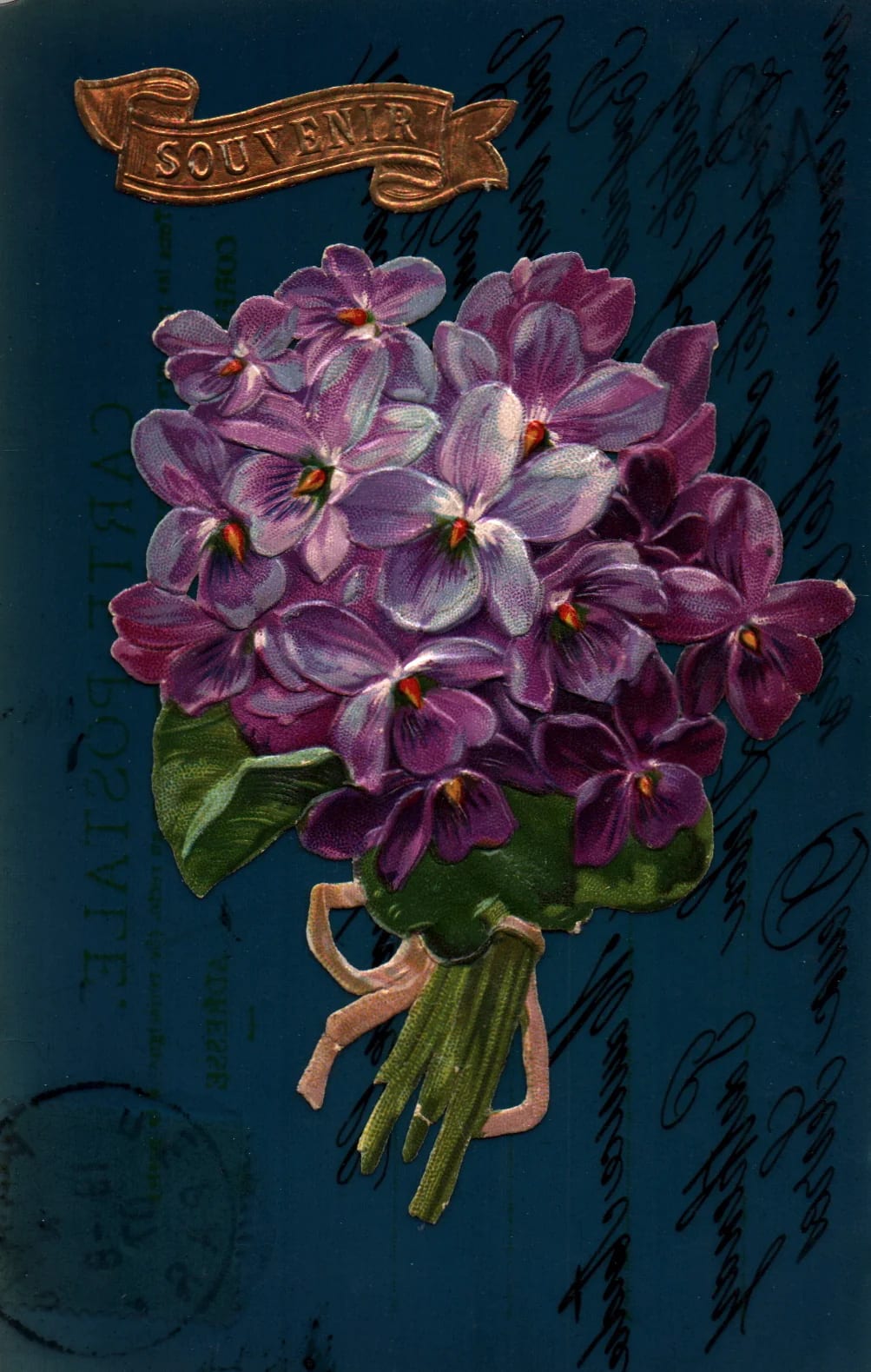 pc2026-02-16_122511 - Front