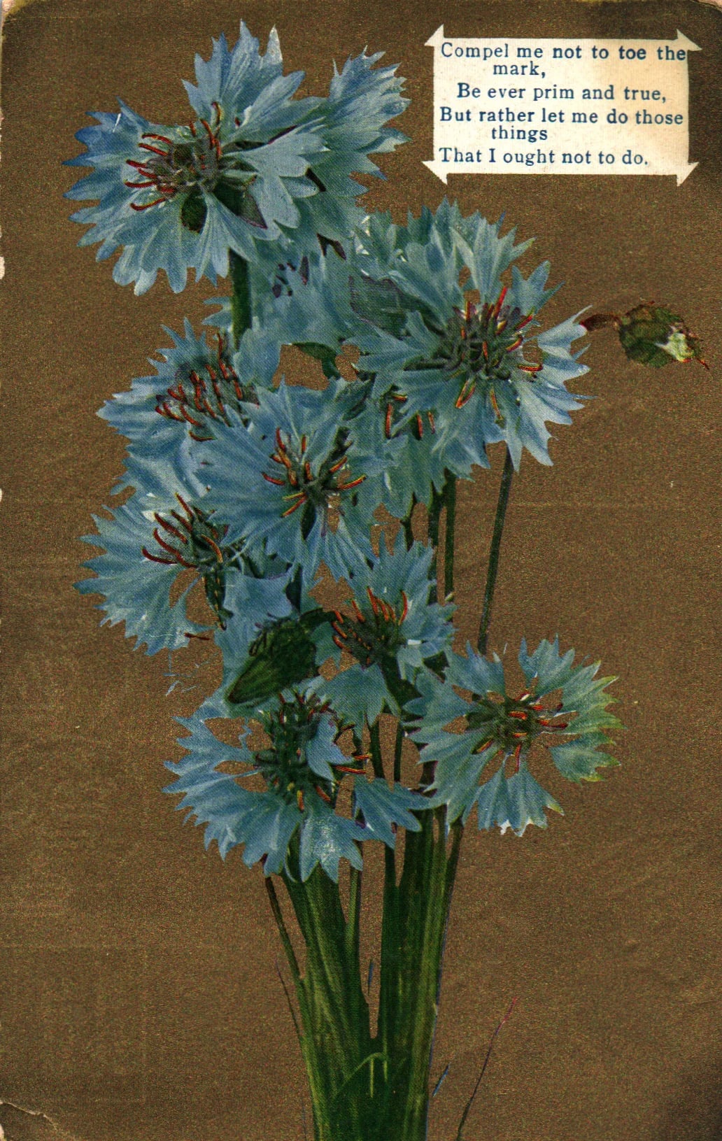 pc2026-02-16_122610 - Front