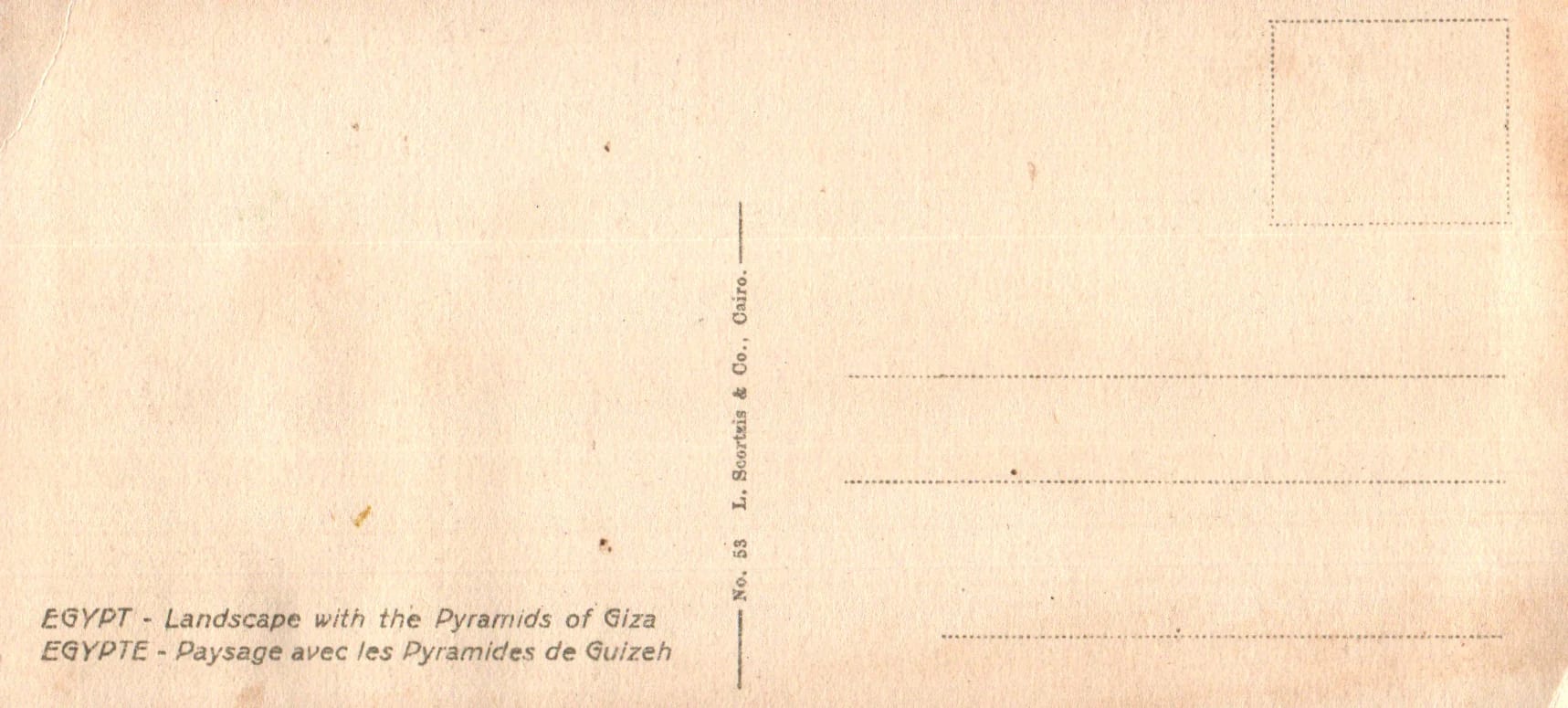 pc2026-01-14_194115 - Back