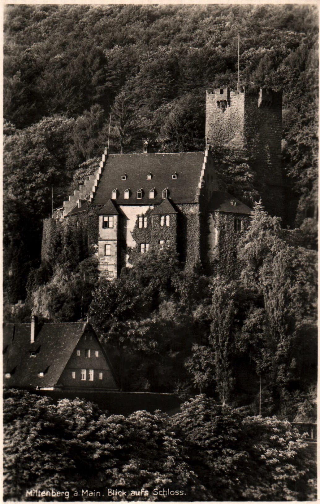 pc2026-01-14_191757 - Front