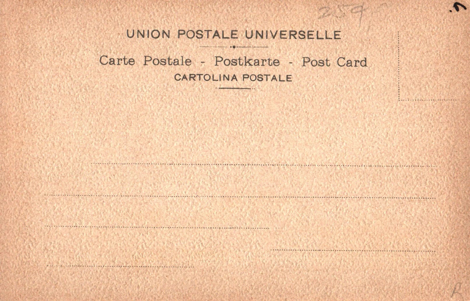 pc2026-01-14_175411 - Back