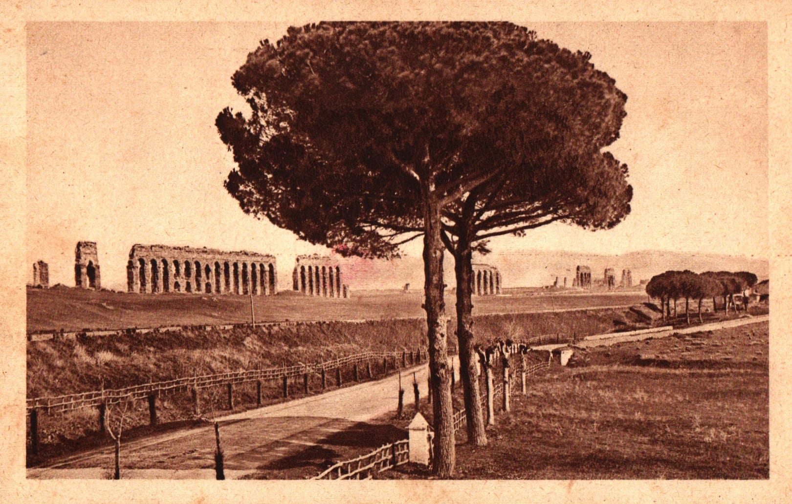 pc2026-01-14_180429 - Front