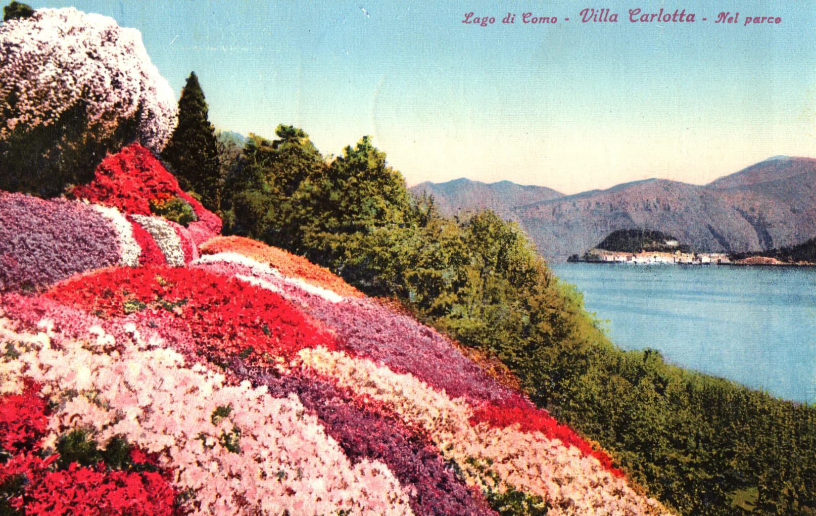 pc2026-01-14_180435 - Front