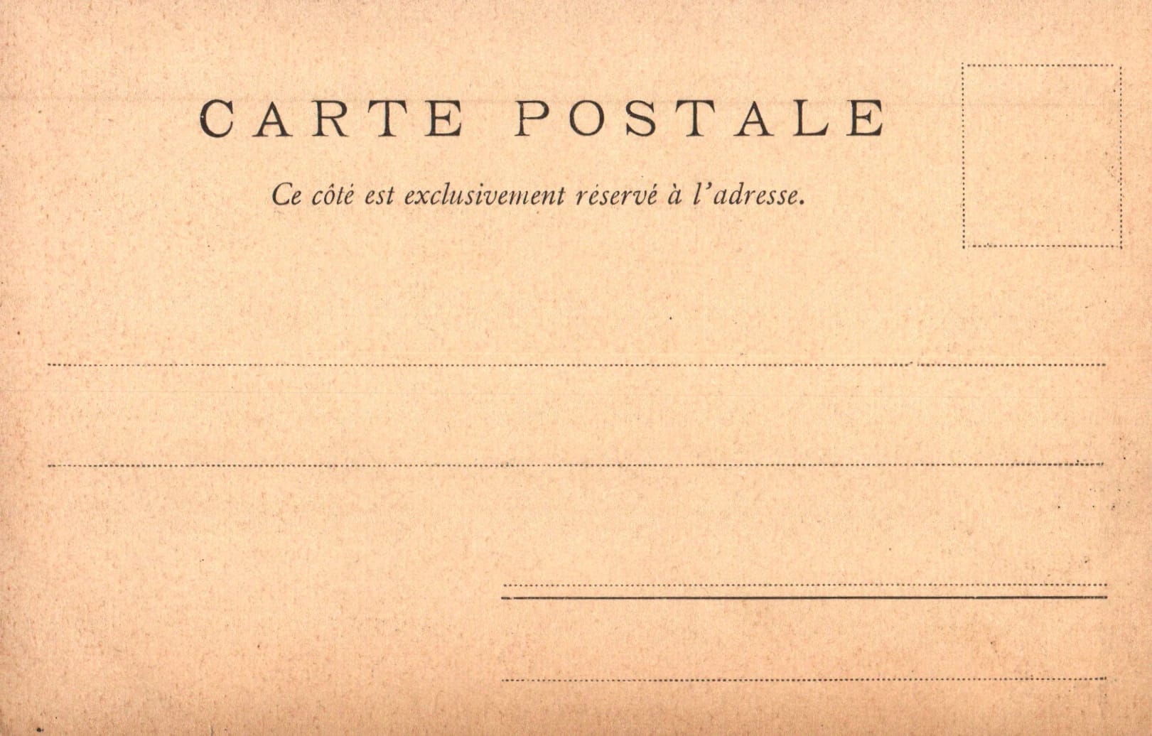 pc2026-01-14_192514 - Back