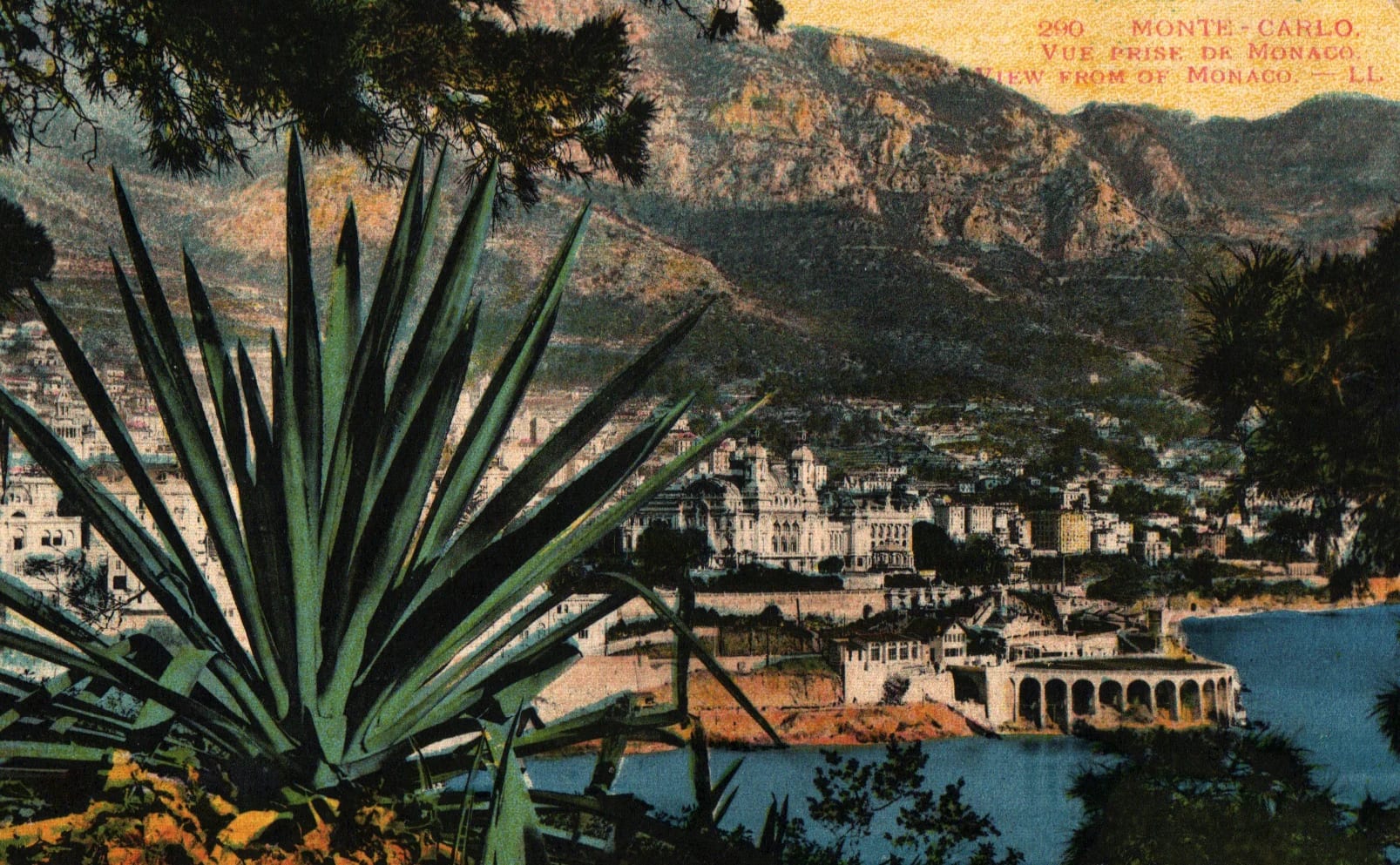 pc2026-01-14_192554 - Front