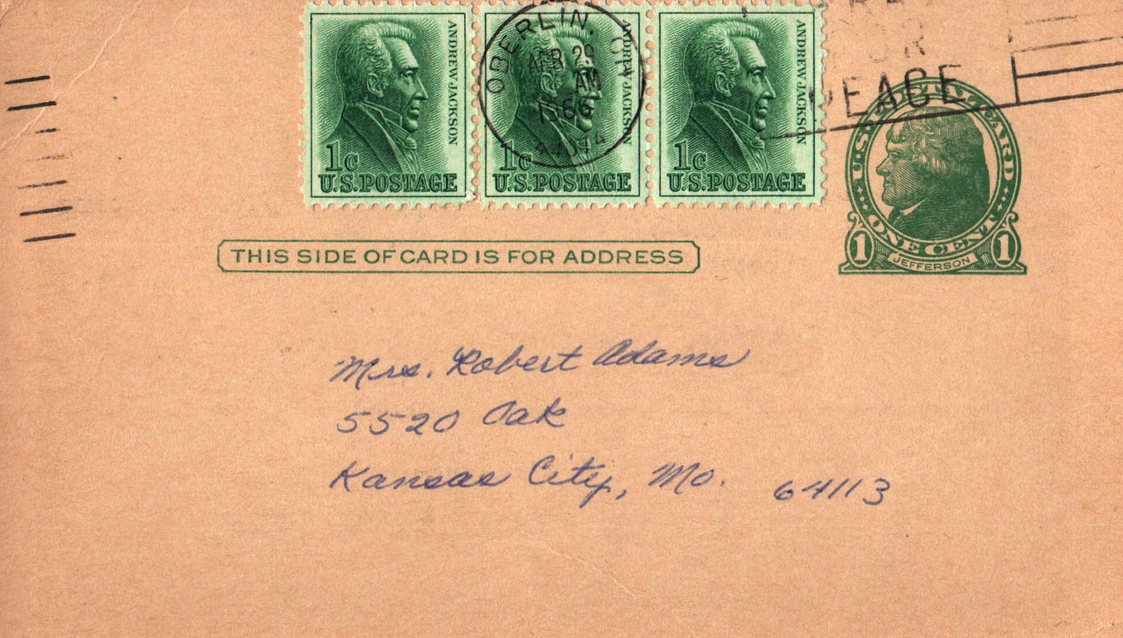 pc2026-02-16_124304 - Back