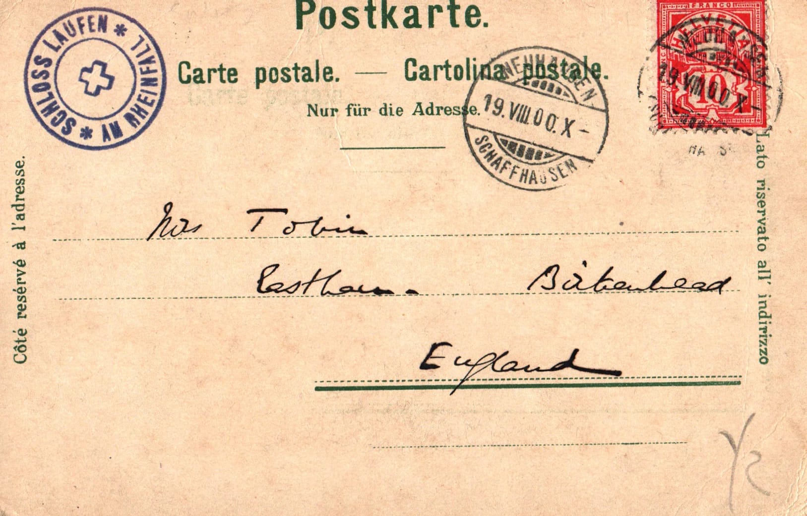 pc2026-01-14_185936 - Back