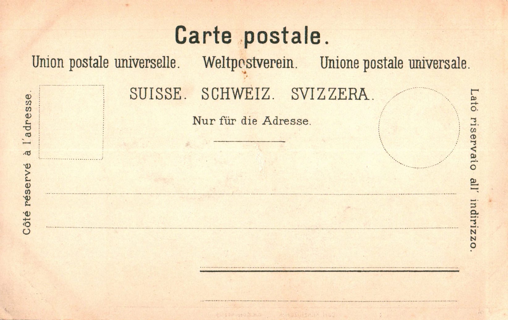 pc2026-01-14_190500 - Back