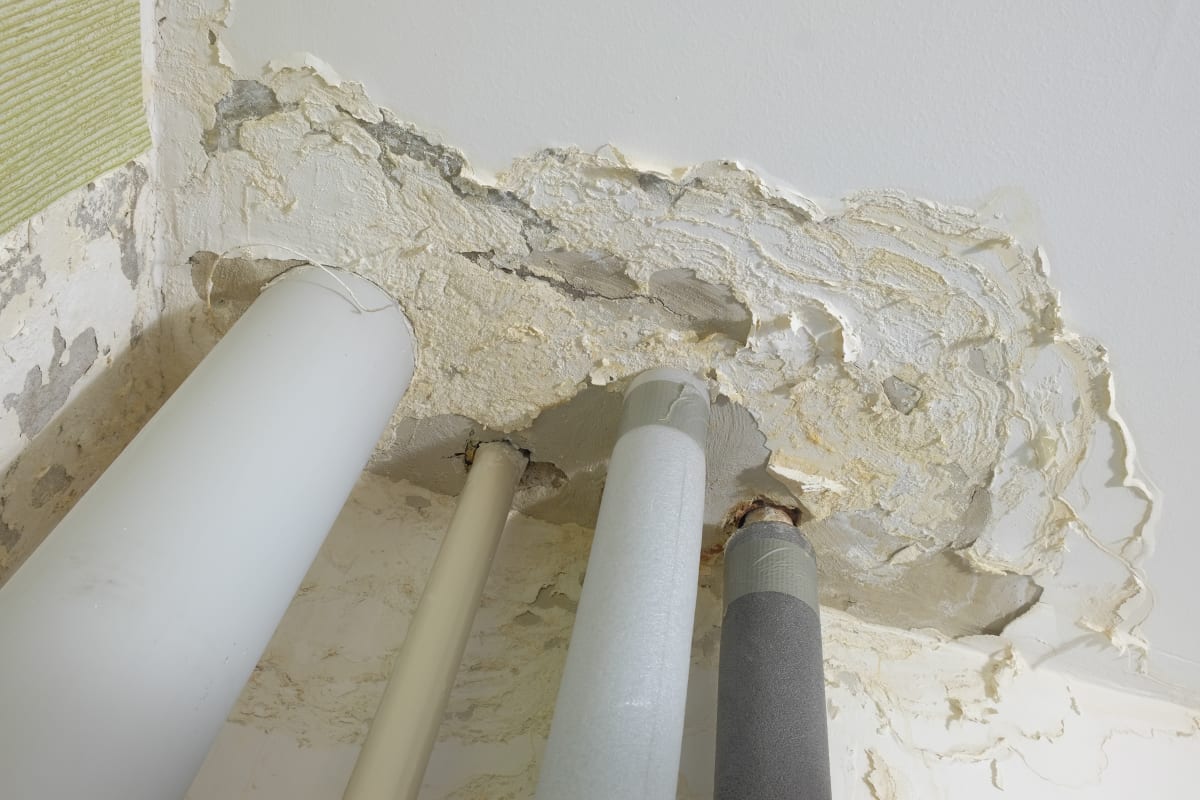 Découvrez tout ce que vous devez savoir sur le diagnostic des risques et pollutions immobiliers