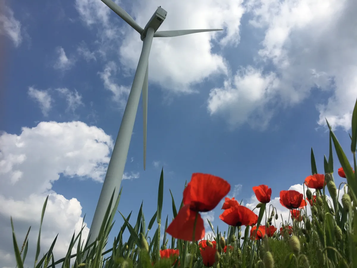 Les raisons d'installer une éolienne domestique pour votre logement