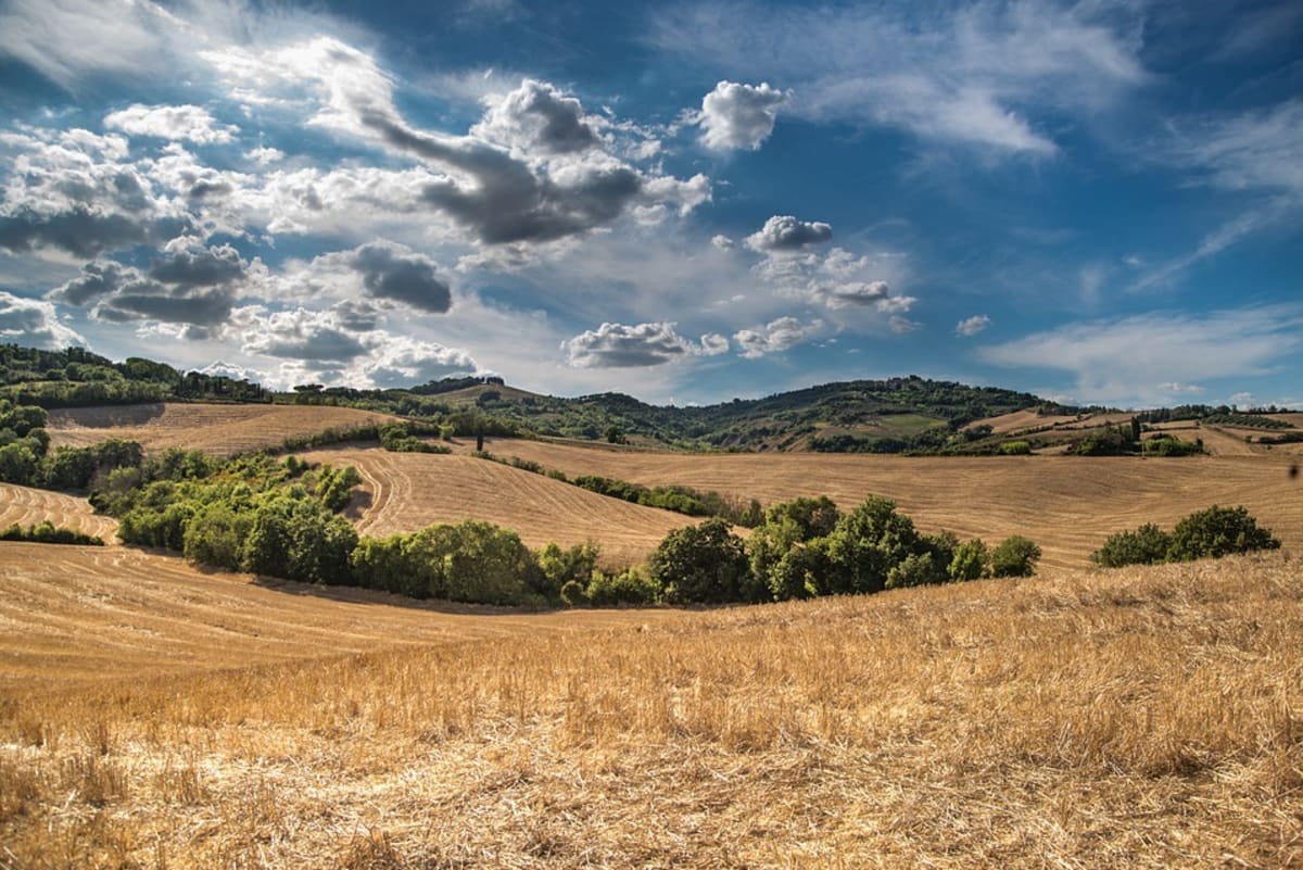 Comment savoir si un terrain agricole est constructible ?