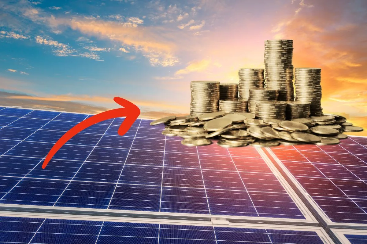 L'installation de panneaux solaires a boosté le portefeuille de ces foyers