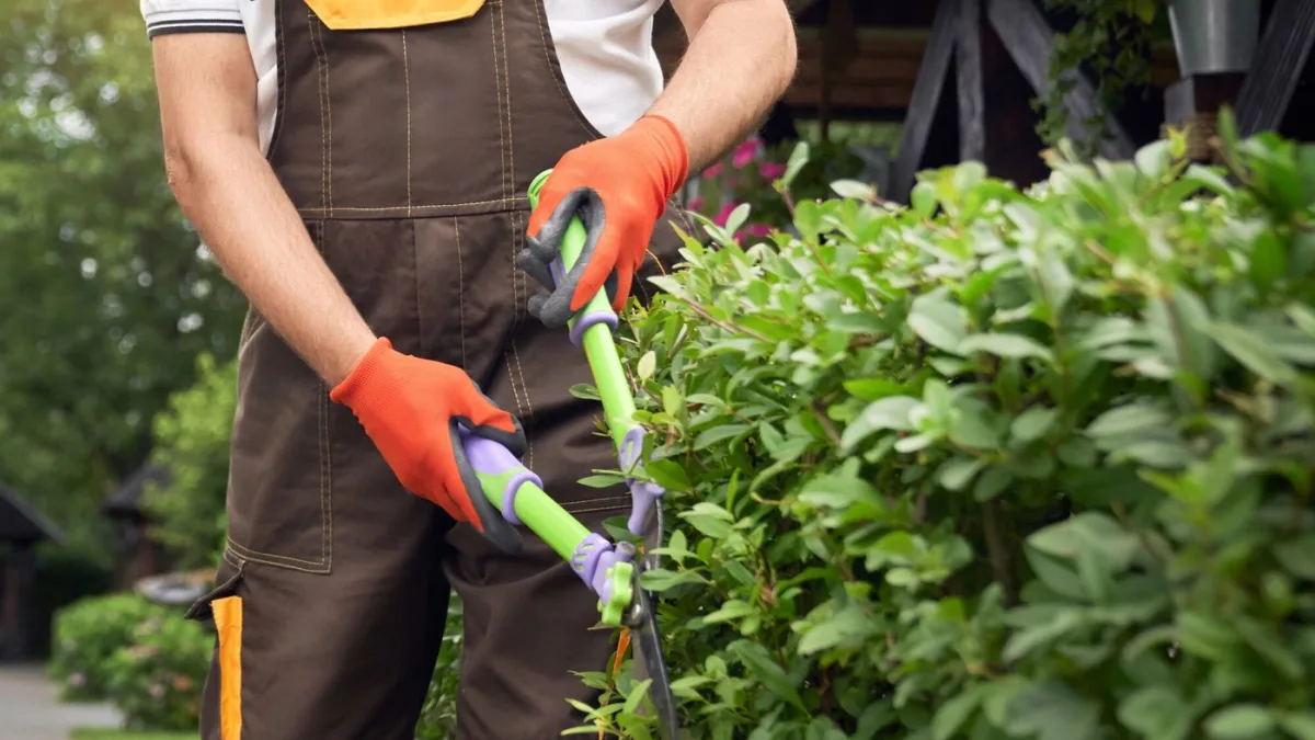 Impôts 2024 : N'oubliez pas de cocher cette case si vous avez un jardin pour réduire votre imposition