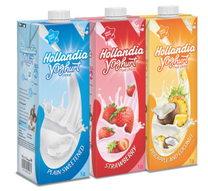 Big Hollandia Yoghurt
