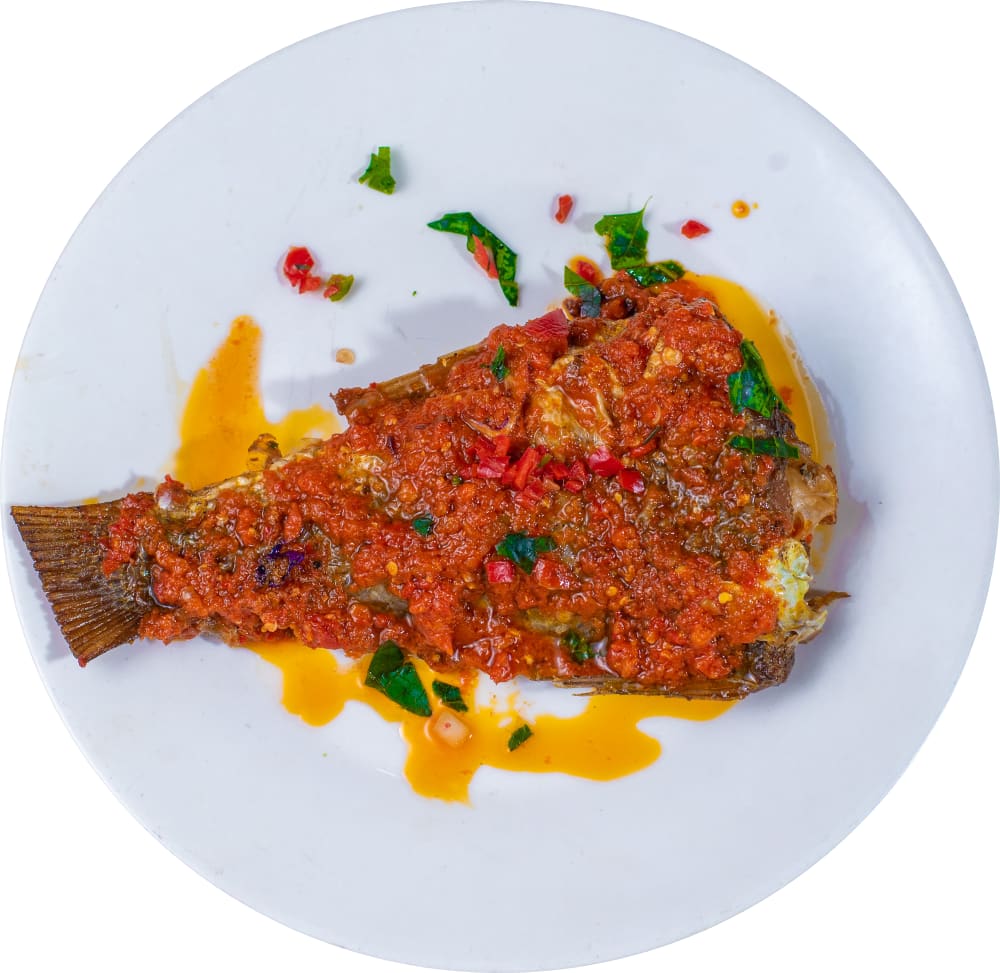 Tilapia