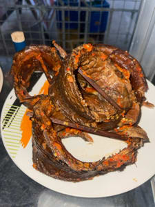 Abolibo Fish