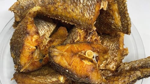 fish