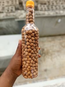 peanut