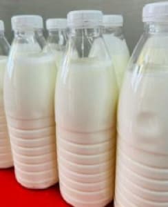 Flavored plain yogurt 500ml