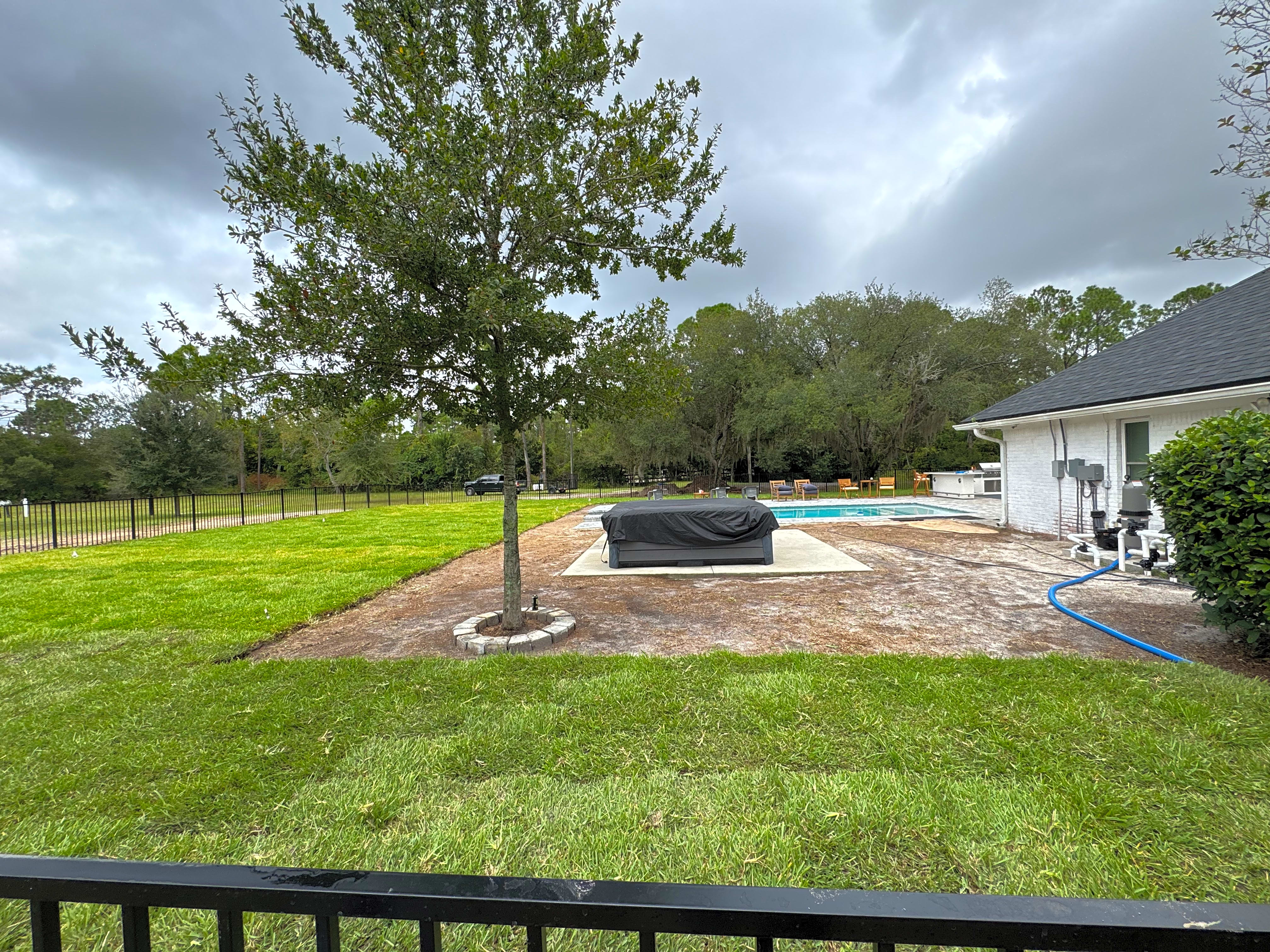 Sunny Freshly Installed Green Lawn by Pool