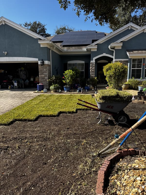 New sod installation Jacksonville