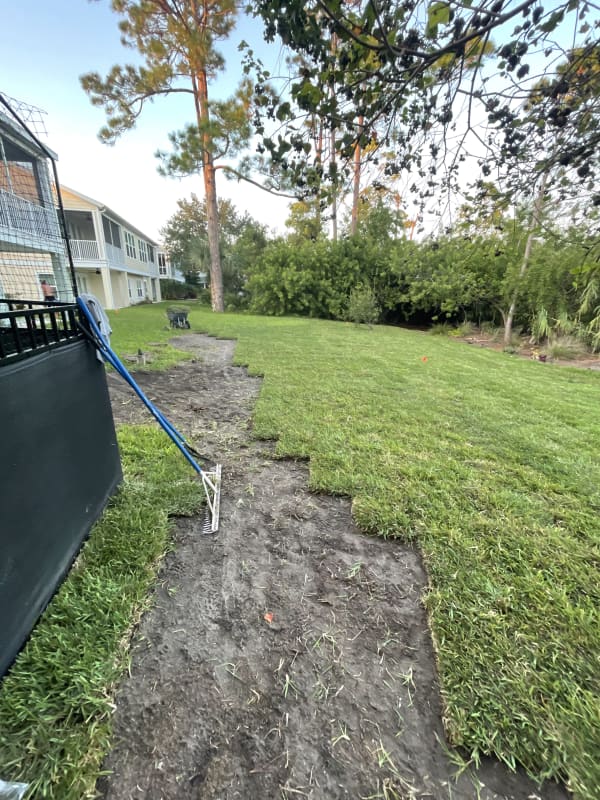 Lawn transformation Jacksonville FL